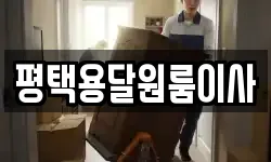 평택용달원룸이사