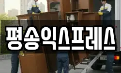 경기도 평택시 동삭동 이사,용달이사,포장이사,원룸이사,보관이사