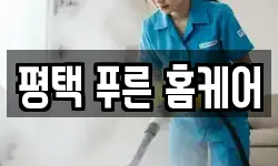 평택 푸른 홈케어