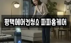 평택에어컨청소 파파홈케어