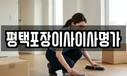 경기도 평택시 비전동 이사,용달이사,포장이사,원룸이사,보관이사