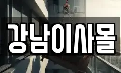 강남이사몰