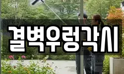 결벽우렁각시