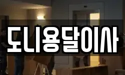 도니용달이사