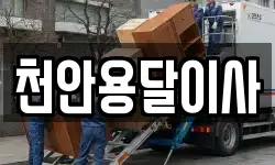 천안용달이사