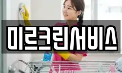 미르크린서비스