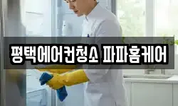 평택에어컨청소 파파홈케어