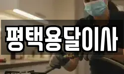 평택용달이사