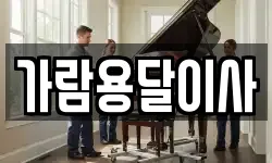 가람용달이사