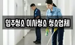 입주청소 이사청소 청소업체