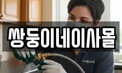 쌍둥이네이사몰