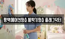 경기도 평택시 안중읍 청소,입주청소,사무실청소,에어컨청소