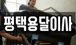 평택용달이사