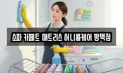 소파 카페트 매트리스 허니룸케어 평택점