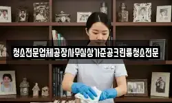 청소전문업체공장사무실상가준공크린룸청소전문