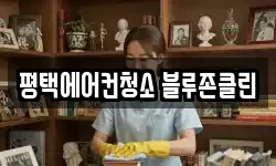 평택에어컨청소 블루존클린