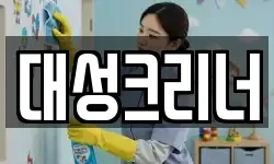 대성크리너