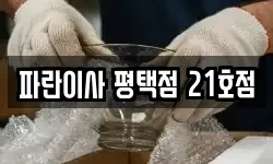 파란이사 평택점 21호점