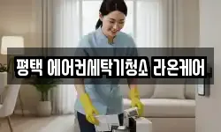 평택 에어컨세탁기청소 라온케어