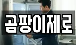 곰팡이제로