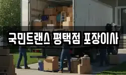 국민트랜스 평택점 포장이사