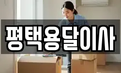 평택용달이사