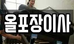 올포장이사