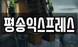 경기도 평택시 장안동 이사,용달이사,포장이사,원룸이사,보관이사