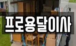 프로용달이사