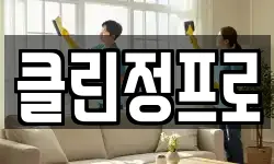 클린정프로