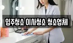 입주청소 이사청소 청소업체