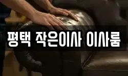 경기도 평택시 지제동 이사,용달이사,포장이사,원룸이사,보관이사