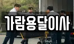 가람용달이사