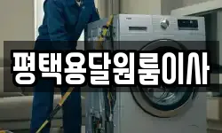 평택용달원룸이사