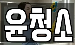윤청소