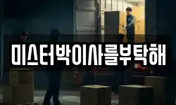 미스터박이사를부탁해