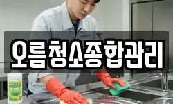 경기도 평택시 통복동 청소,입주청소,사무실청소,에어컨청소