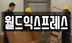 월드익스프레스