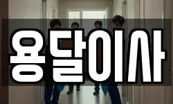 용달이사