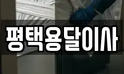 경기도 평택시 이사,용달이사,포장이사,원룸이사,보관이사