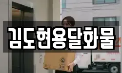 김도현용달화물