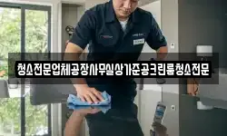 청소전문업체공장사무실상가준공크린룸청소전문