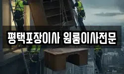 평택포장이사 원룸이사전문