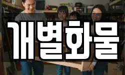 개별화물