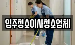 입주청소이사청소업체