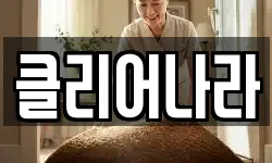 클리어나라