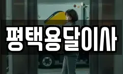 평택용달이사