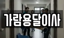 가람용달이사
