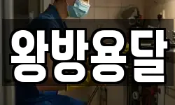 왕방용달
