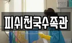 피쉬천국수족관